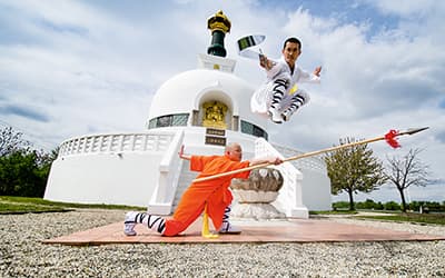 kungfu
